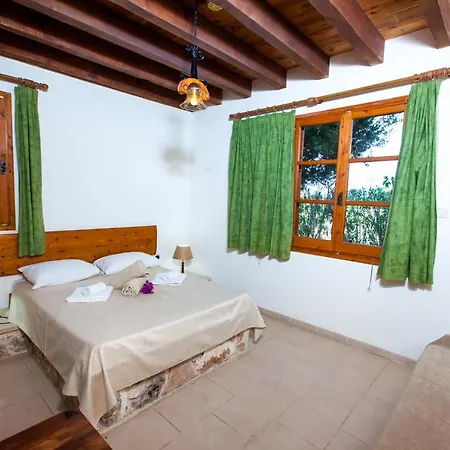 Olive Grove 3 Villa Paphos